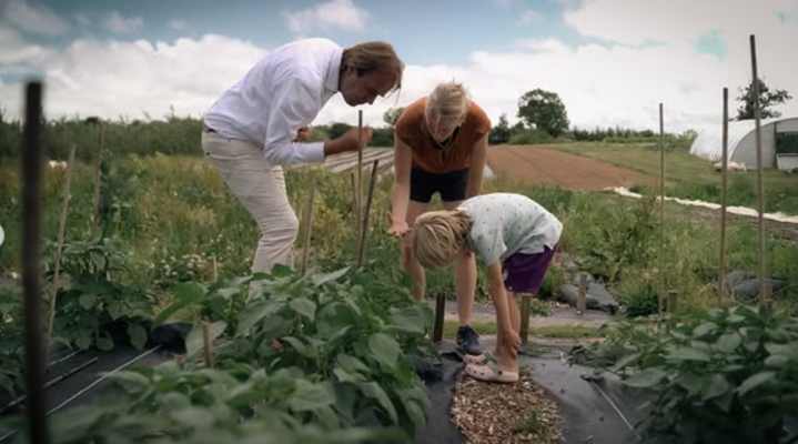 Photo made by DocuFilm at the Community Farm in Chew Valley - England